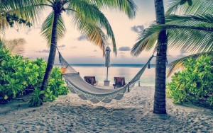vacation-beach-palms-rope-hammock-960x600-wide-wallpapers-net